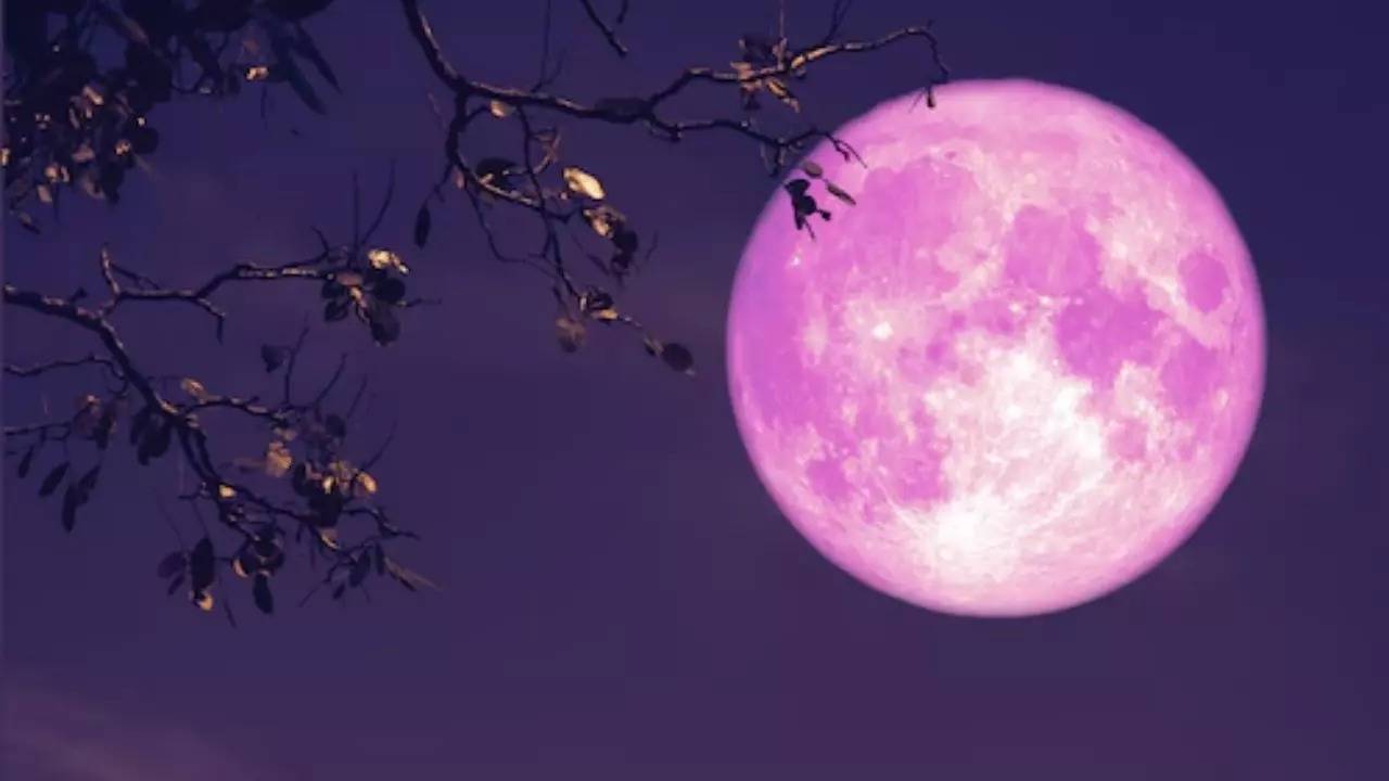 Pink full moon 2024 date time and importance 