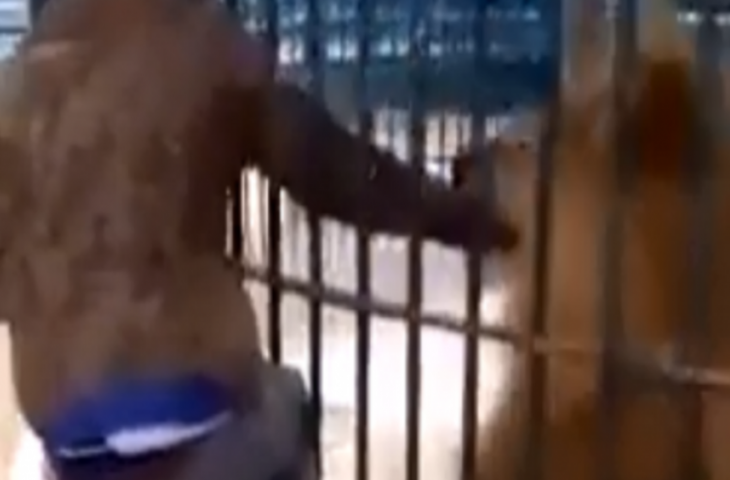 शख्स ने मजे-मजे में डाल दिया शेर के पिंजरे में हाथ, देखिए फिर जंगल के राजा के ने क्या हाल किया