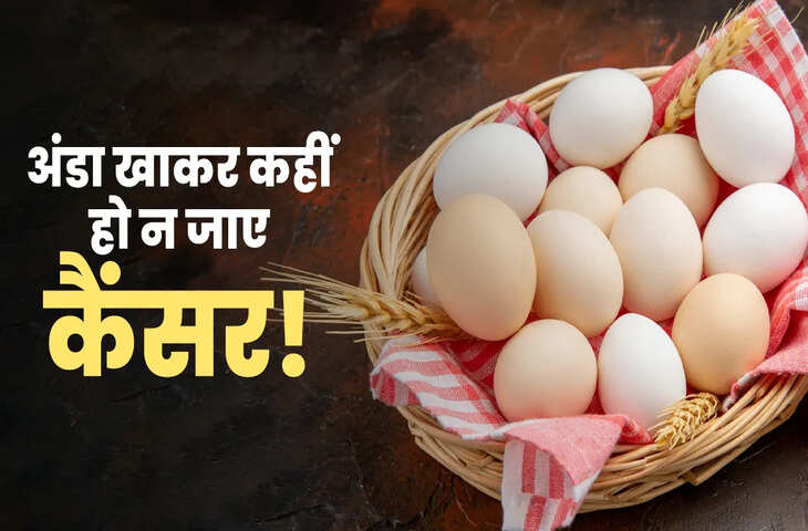 अंडे खाकर कहीं हो ना जाए कैंसर ? लेब टेस्ट में हुआ खतरनाक कैमिकल का खुलासा, खबर पढ़ने के बाद आप भी हो जाएंगे चौकन्ने 