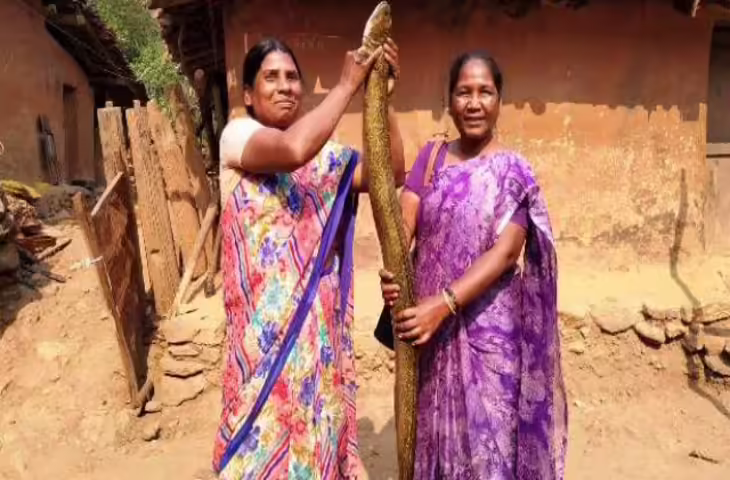 खूंटी में युवाओं ने पकड़ी 8 फीट लंबी और 12 किलो की &lsquo;बींहड़ा&rsquo; मछली, गांव में चर्चा का माहौल