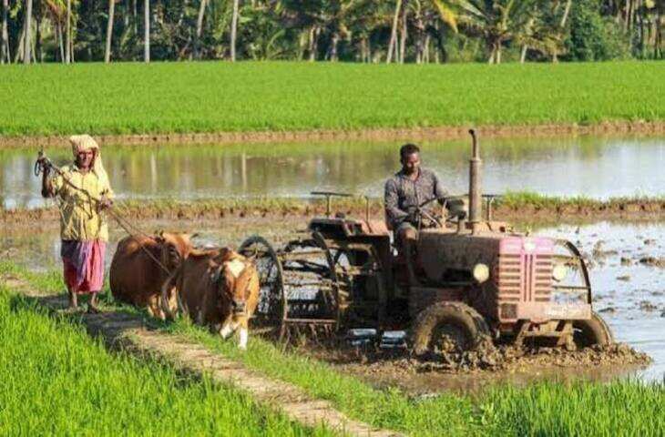 Haryana Farmers Scheme: किसानों को बागवानी पर मिल रहा 1.40 लाख रुपये तक अनुदान, जानें आवेदन का तरीका