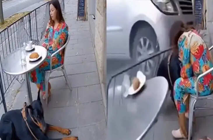 मौत को पहले ही भांप गया था कुत्ता, खतरे से खेलते हुए बचाई अपनी मालकिन की जान