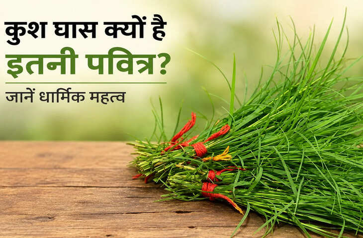 पूजा-पाठ में क्यों जरूरी मानी जाती है कुश घास? जानें इसका धार्मिक महत्व। भगवान विष्णु के स्वरूप मानी जाने वाली इस पवित्र घास के बिना कई संस्कार अधूरे रह जाते हैं। संकल्प, हवन, तर्पण और श्राद्ध में कुशा का विशेष स्थान।