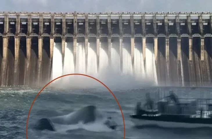 जबलपुर में दर्दनाक हादसा!&nbsp;Bargi Dam में डूबा 31 लोगों से भरा क्रूज, 4 लोगों के शव बरामद&nbsp;