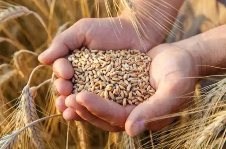 Grain Import Ban&nbsp;पोलैंड, हंगरी, स्लोवाकिया पर मुकदमा करेगा यूक्रेन