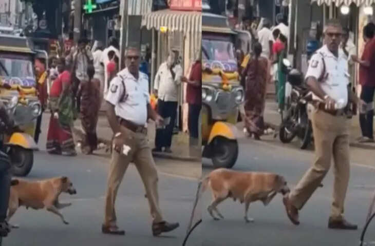 ट्रैफिक पुलिसकर्मी ने दिव्यांग कुत्ते को कराया सड़क पार, इंसानियत देख लोगों ने किया सलाम