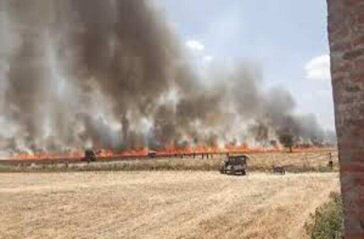 कोटा में भीषण अग्निकांड, 115 बीघा में खड़ी गेहूं की फसल जलकर राख, वीडियो में देंखे 10 से अधिक किसानों को भारी नुकसान