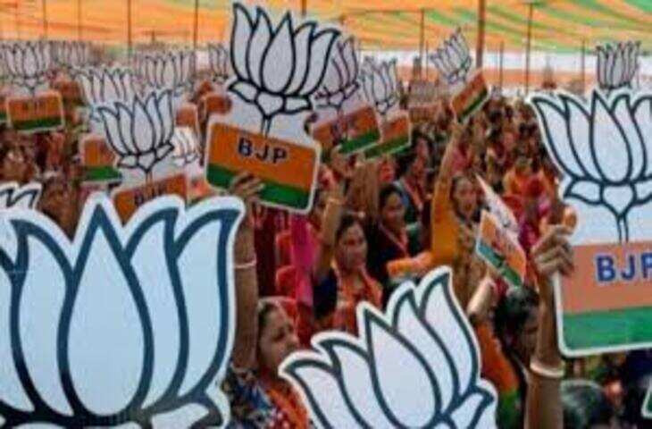 गुजरात पंचायत-पालिका चुनाव: भाजपा का रिकॉर्ड प्रदर्शन, 95% सीटों पर कब्जा; AIMIM-सूरत में AAP को झटका