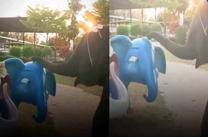 रियल हाथी और डमी हाथी का भावुक पल, सोशल मीडिया पर चर्चा में क्लिप