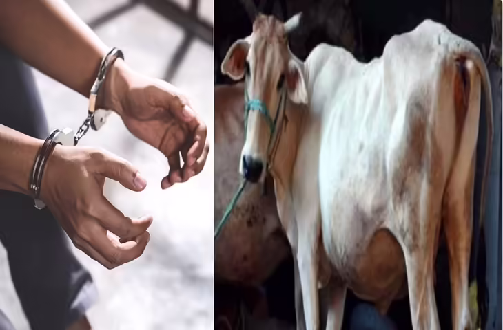 महू के दो आरोपियों को जेल भेजा गया, पुलिस ने की कार्रवाई
