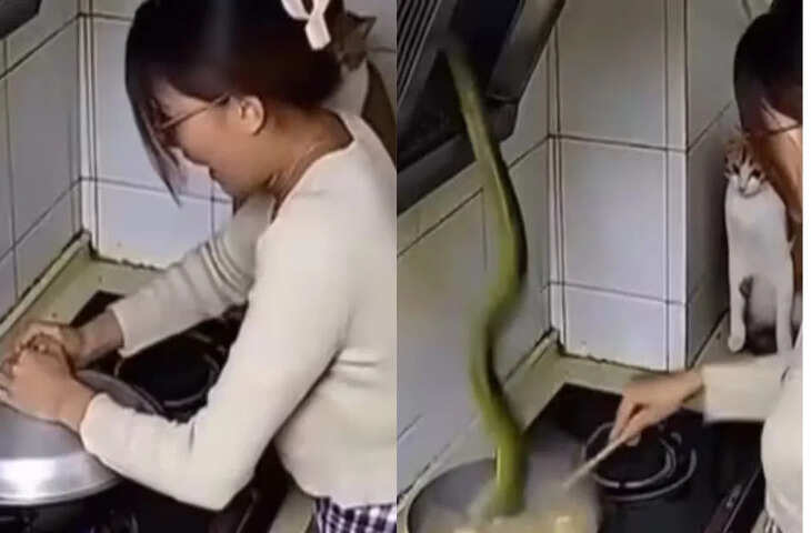 किचन में अचानक &lsquo;मौत&rsquo; ने ली एंट्री, घबराई महिला ने जल्दबाजी में किया ये काम