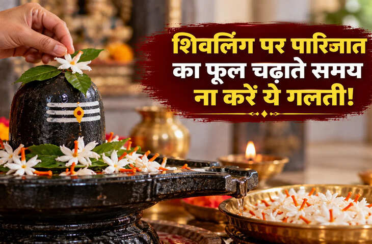 Shivling Parijat Flower: शिवलिंग पर पारिजात का फूल चढ़ाते समय न करें ये गलतियां, जानें सही नियम और औषधीय गुण