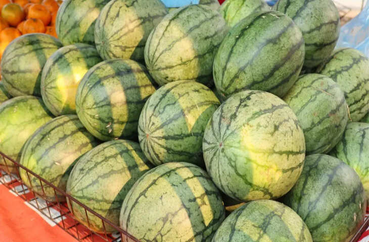 तरबूज से जुड़े ऐसे रोचक तथ्य, जिन्हें जानकर आप भी रह जाएंगे हैरान