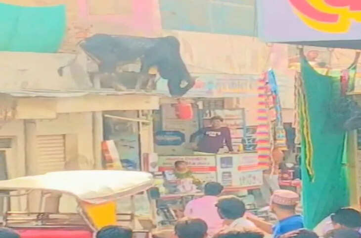 कस्बे में बेसहारा सांड ने मचाई अफरा-तफरी, नागरिकों के लिए बनी परेशानी