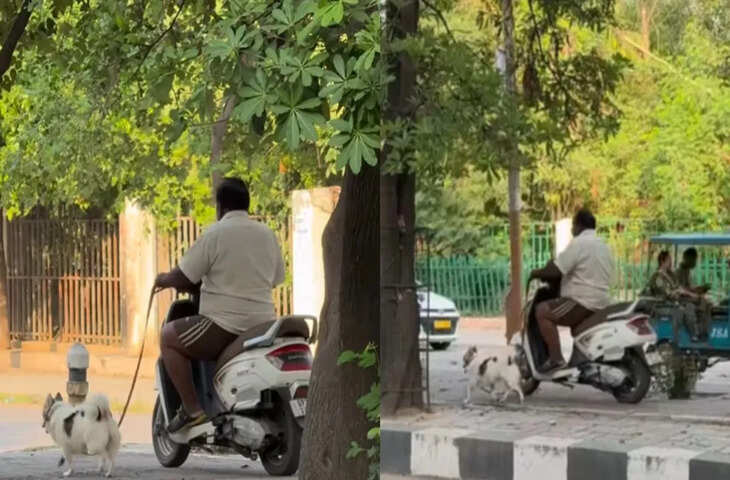 लखनऊ का वायरल वीडियो: स्कूटी पर कुत्ते को घुमाते दिखा शख्स, लोगों ने कहा- &lsquo;असली नवाब यही है....'