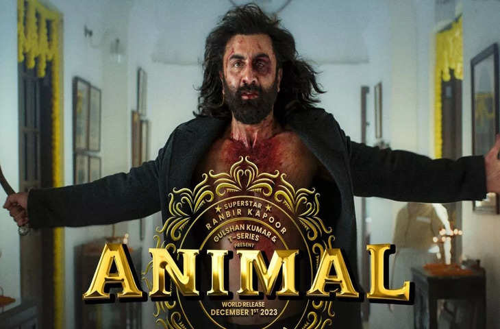 Box Office पर शुरू हुआ Animal का काउंटडाउन, 500 करोड़ क्लब में शामिल होने के लिए अब छूट रहे है फिल्म के पसीने 