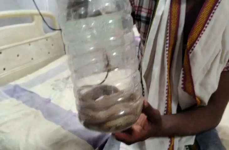 सांप ने काटा, युवक पकड़कर अस्पताल लेकर पहुंचा &mdash; दावा, सांप सपने में आया था दूध मांगकर