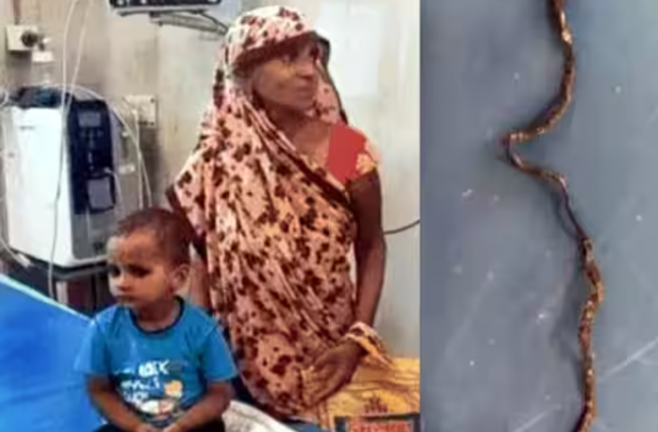 सांप को खिलौना समझकर चबा गया 3 साल का बच्चा, नागराज की हालत देखकर कांप गए लोगों के कलेजे