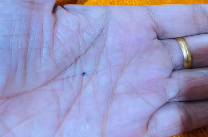 Hastrekha Palmistry: हाथ की टूटी या जिगजैग रेखाएं क्या बताती हैं? जानें हस्तरेखा शास्त्र के संकेत