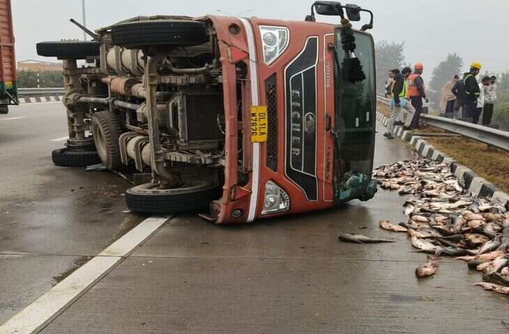 बागपत हाईवे पर पलटा मछलियों से भरा कैंटर! लूटने के लिए दौड़ पड़े आस-पास के लोग, यहाँ देखे वायरल वीडियो&nbsp;