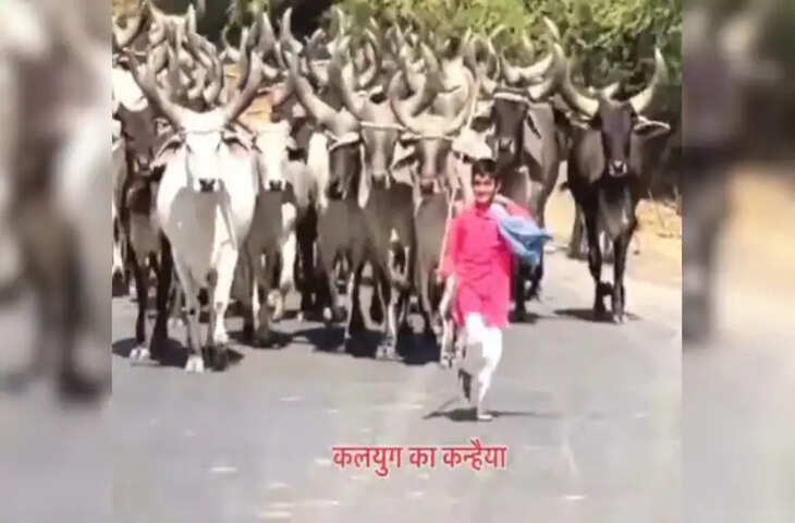 सोशल मीडिया पर छाया &lsquo;कलयुग का कन्हैया&rsquo;, साधारण बालक, असाधारण प्रेम, Video मंत्रमुग्ध कर देगा