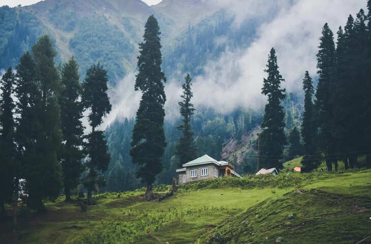 शिमला से पास में है ये स्वर्ग सी खूबसूरत जगह, इस गर्मी परिवार या दोस्तों के साथ जरूर जाए घूमने&nbsp;