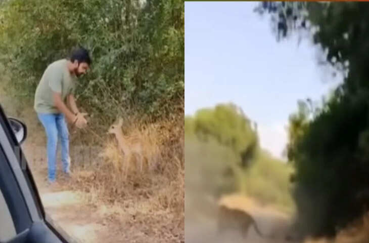 'ये इंसान है या कुछ और....' 17 सेकंड में नाक से बीयर गटक गया शख्स, Viral Video देख आप भी रह जाएंगे दंग 