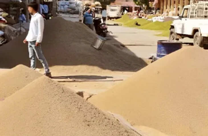 कृषि उपज मंडी में पहुंची सीजन की पहली जीरा फसल, किसानों-व्यापारियों में उत्साह