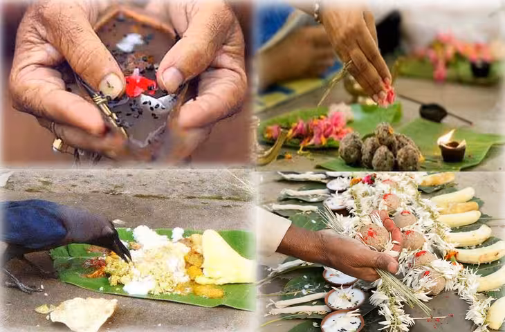 पितृपक्ष में पंचबली का खास महत्व, जानिए गाय, कौए से लेकर चींटियों तक को भोजन कराने की मान्यता