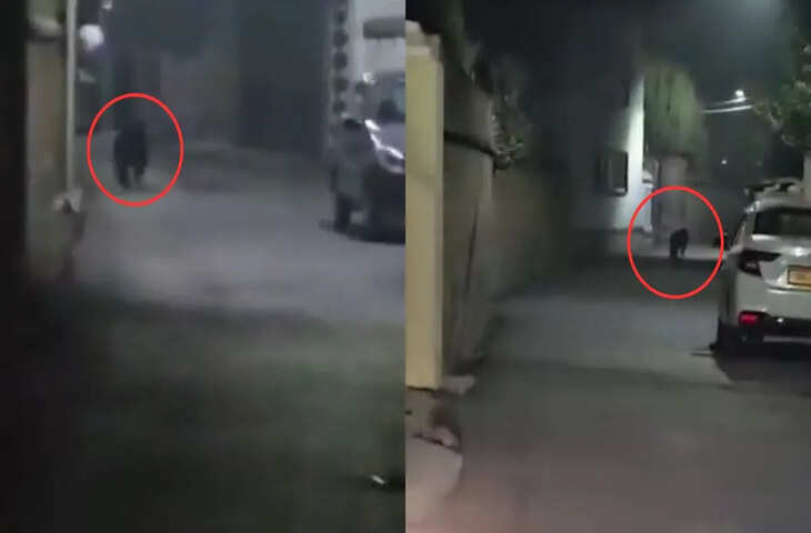 श्रीनगर में काले भालू का मचा आतंक, सड़क पर मजे से घूमते हुए कैमरे में हुआ कैद