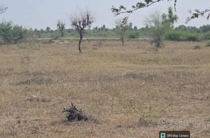 निम्बाहेड़ा कलां और भटेरा में अवैध कोयला भट्टियों का खुलासा, एनजीटी में रिपोर्ट पेश