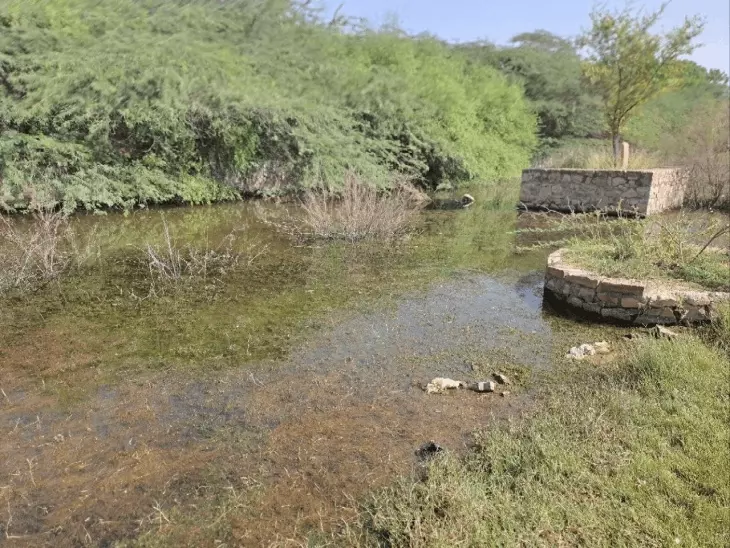 नया गांव के मोक्षधाम श्मशान घाट की बदहाल स्थिति, सालभर भरा रहता है पानी; अंतिम संस्कार में लोगों को परेशानी