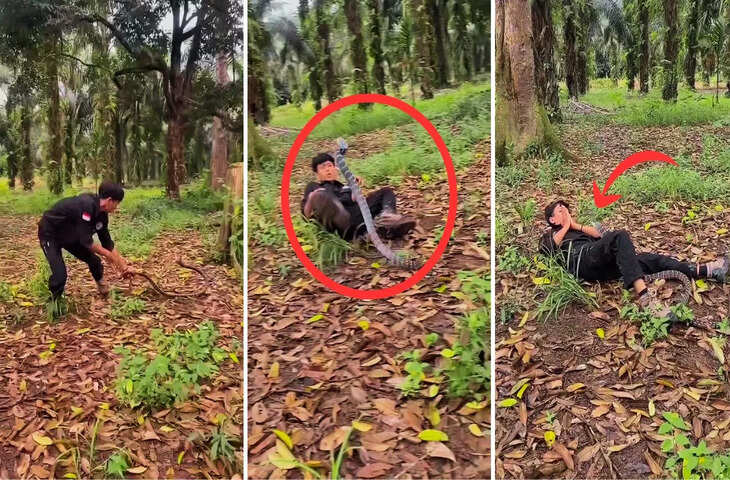 भागते किन कोबरा से युवक को पंगा लेना पड़ा भारी पलटवार करते ही हो गई ऐसी हालत, वीडियो देख काँप जाएगी रूह&nbsp;