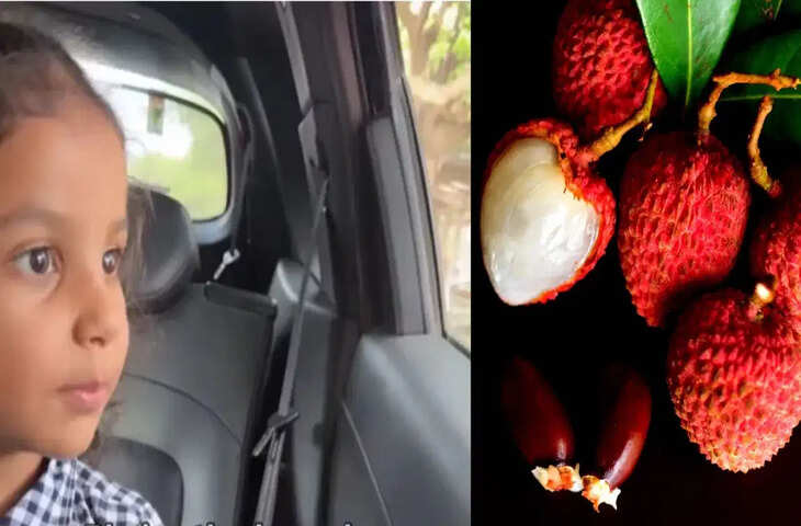 लीची खरीदते समय बच्ची ने किया ऐसा मोल-भाव, छोटी सी उम्र में लड़की ने दिखाया बड़ा टैलेंट