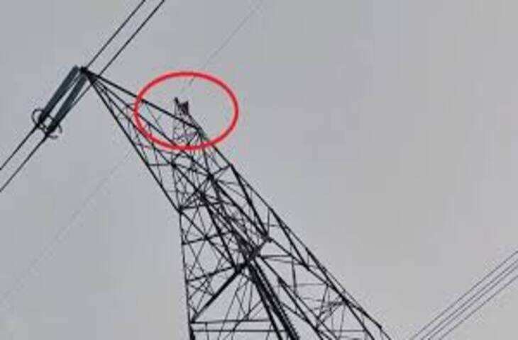 हाई वोल्टेज तारों में झूल रही थी दो जिंदगियां, नीचे से गुजर की ट्रेन, रोंगटे खड़े कर देगा वीडियो