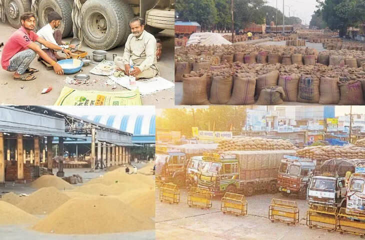 मंडी में लहसुन की बंपर आवक, कीमतों में उतार-चढ़ाव; 3000 से 12500 रुपये प्रति कट्टा तक बिका माल