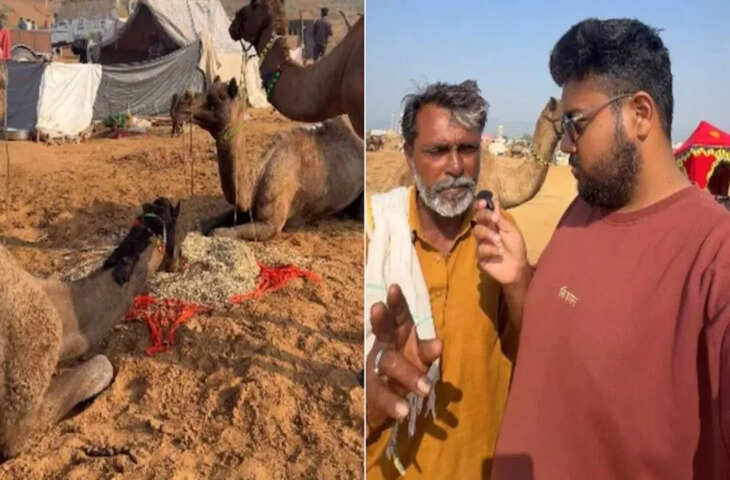 कितना पानी पीता है एक ऊंट? देसी अंकल का ज्ञान सुन पक्का आपको लगने वाला है झटका