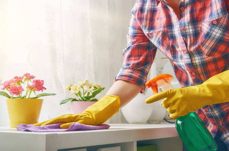 Sofa Cleaning Tips:सोफे पर गिर गई चाय तो तुरंत न रगड़ें दाग, अपनाएं ये आसान तरीका और बचाएं फैब्रिक