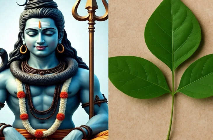 Sawan Belpatra: घर में बेलपत्र का पेड़ लगाना शुभ है या अशुभ? सावन में जान लें वास्तु और धार्मिक मान्यता