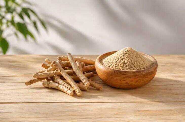 क्या रोज अश्वगंधा खाना सही है? जानें इम्यूनिटी, लिवर और किडनी से जुड़े जरूरी डॉक्टरी फैक्ट्स
