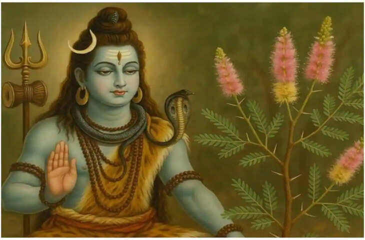 Shami Plant Vastu Tips: घर में शमी का पौधा लगाने से पहले जान लें ये जरूरी नियम, वास्तु के अनुसार मिल सकते हैं शुभ लाभ