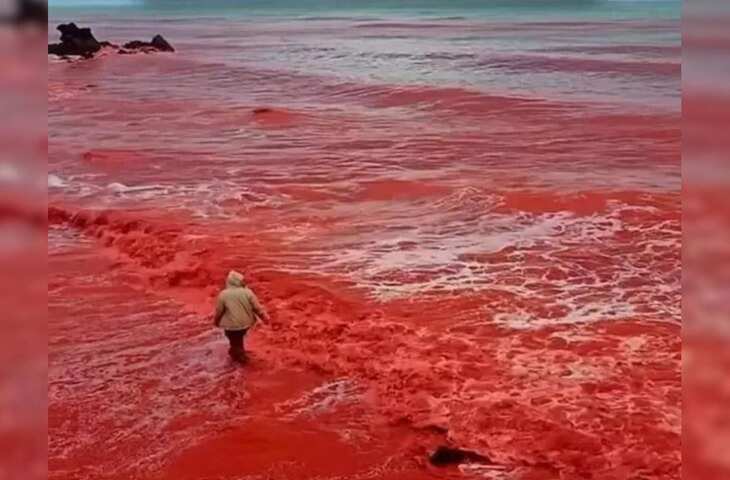 सुर्ख लाल हुआ होरमुज द्वीप! बारिश के बाद पूरा इलाका बदल गया, वीडियो देख फटी रह जाएंगी आँखें&nbsp;