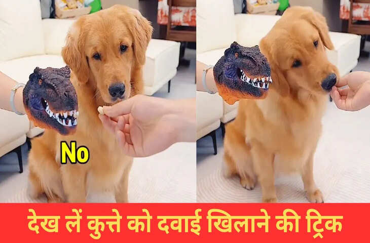 वायरल हुई कुत्ते को दवाई खिलाने की मजेदार ट्रिक, वीडियो देख छूट जाएगी हंसी