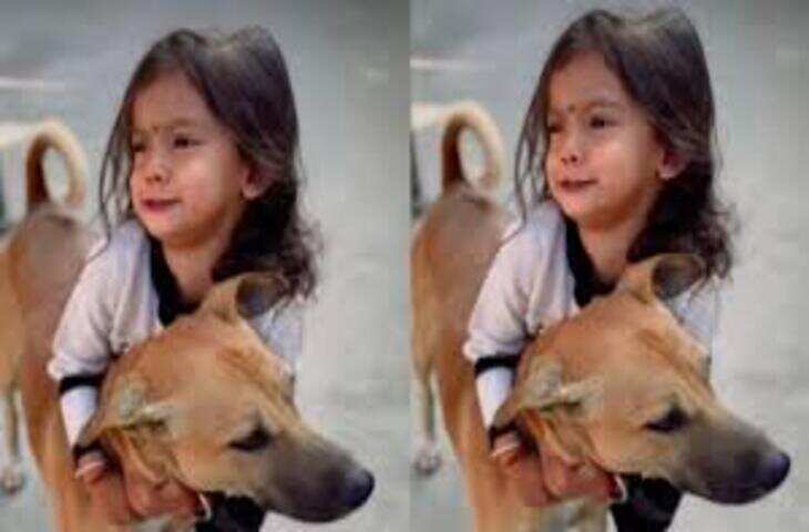 डॉगी के बच्चों को खाना खिलाने का वीडियो वायरल, मां के &lsquo;इशारे&rsquo; ने जीता लोगों का दिल