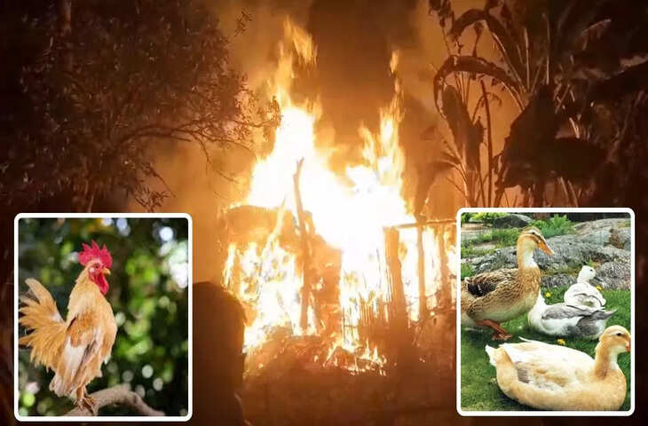 पहले मुर्गा और बतख की चोरी की, फिर झोपड़ी में आग लगाकर भाग गए चोर, लाखों का सामान जलकर खाक