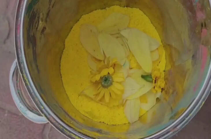 चुकंदर, पालक और फूलों से तैयार हो रहे रंग, इससे होली भी खेलें; हलवा भी बनाकर खाएं