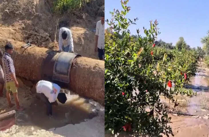 जालोर में नर्मदा पाइपलाइन फटी, अनार और जीरे की कई बीघे की फसल बर्बाद, किसान बोले- 10वीं बार हुआ