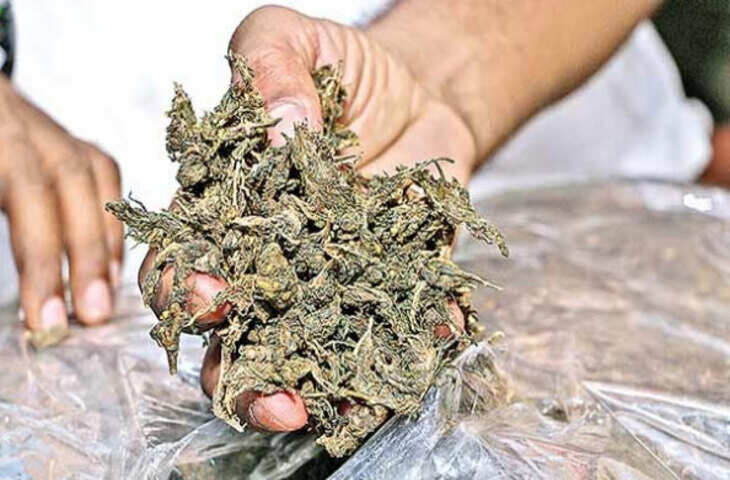 Kerala : आठ किलो गांजे के साथ तस्कर गिरफ्तार