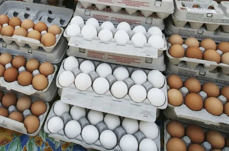 Egg Price Hike 2025: बाजार में अंडे 8-12 रुपये, बढ़ती कीमतों के पीछे क्या है वजह ?