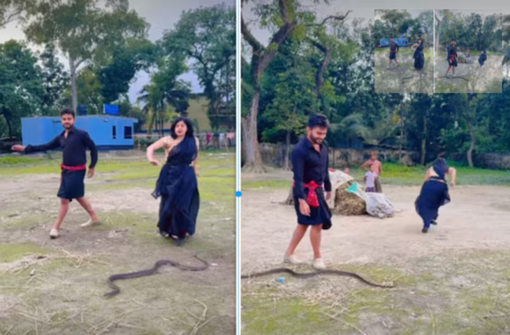 सोशल मीडिया पर कपल का खतरनाक डांस वीडियो वायरल, सांप के साथ शूटिंग के दौरान हुआ हादसा
